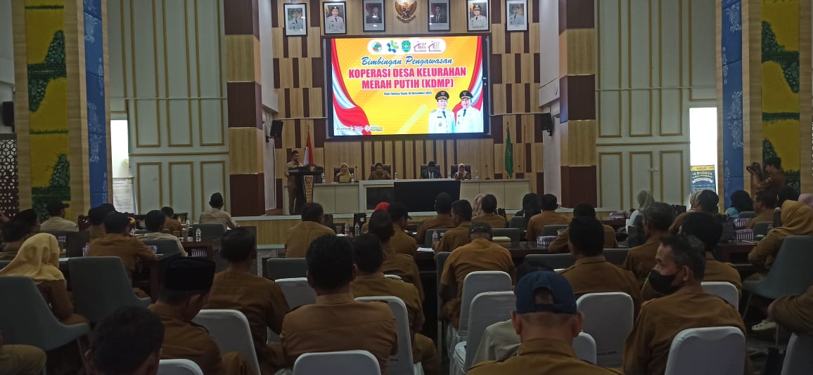 Bimbingan Pengawasan Koperasi Desa Merah Putih (KDMP)