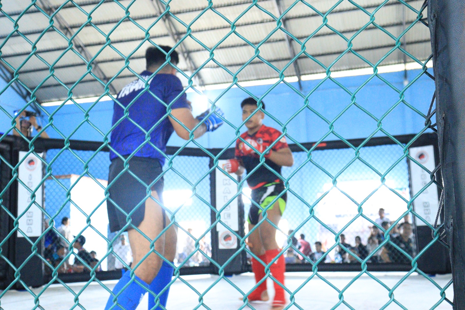 Petarung MMA Tapin Berlaga di PORPROV Kalsel 2025 Tanah Laut